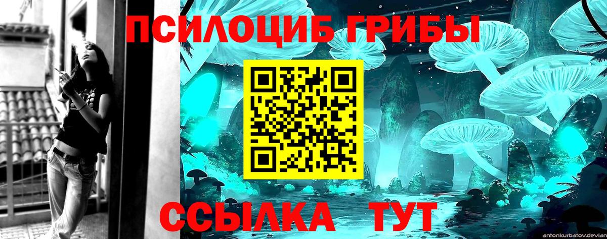 Шарыпово  Псилоцибиновые грибы прущие грибы  хочу   Вход с VPN 