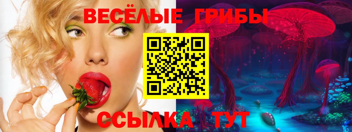Галлюциногенные грибы прущие грибы Шарыпово